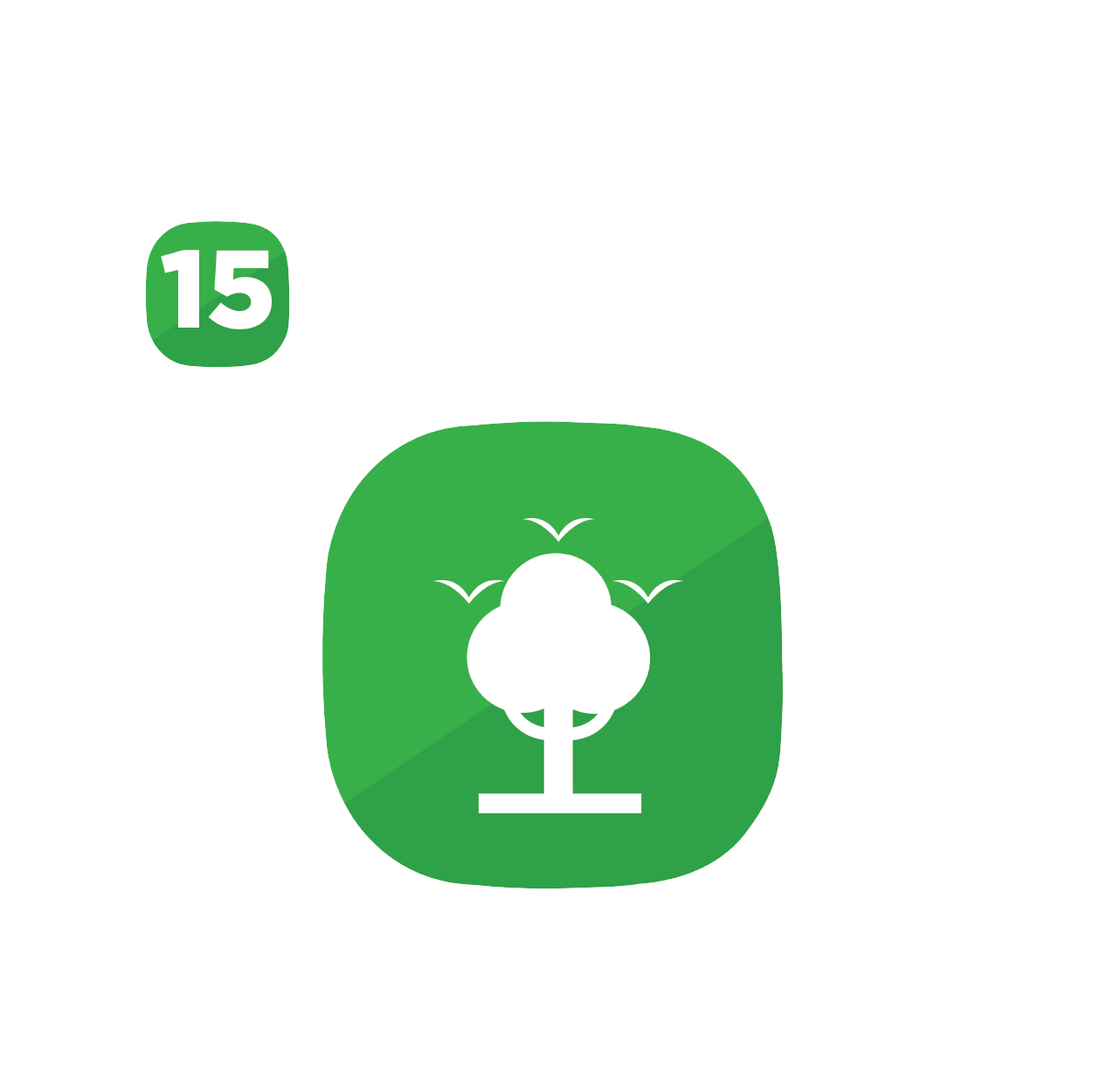 SDG 15